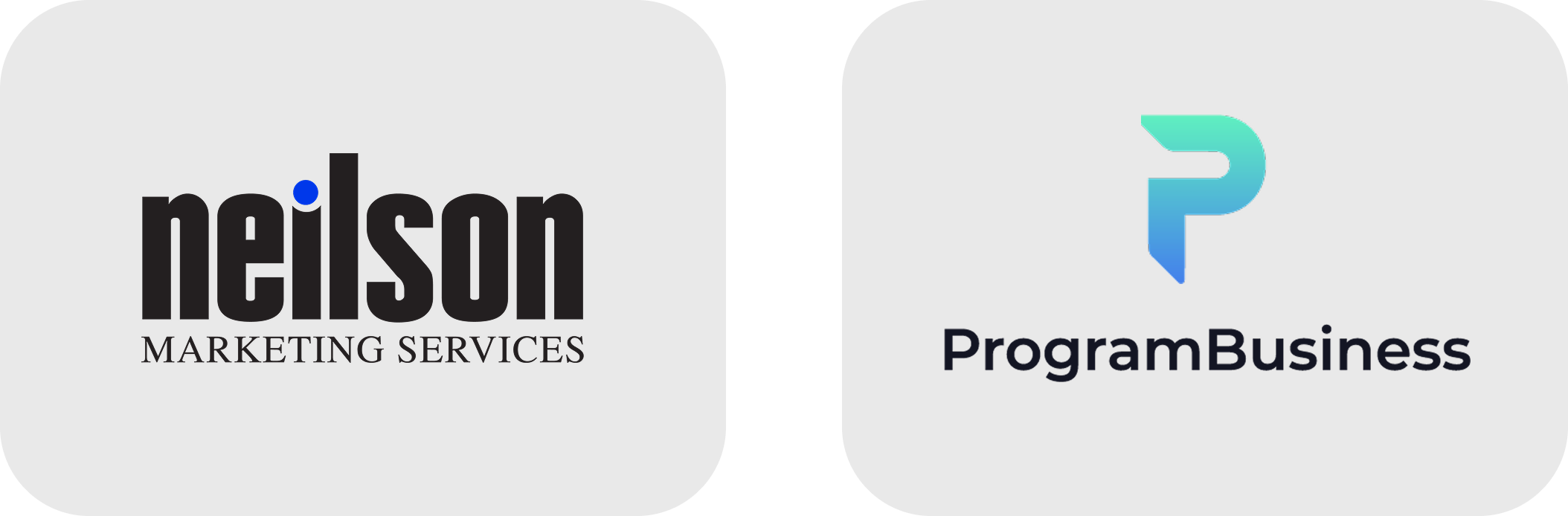 Neilson Marketing and ProgramBusiness